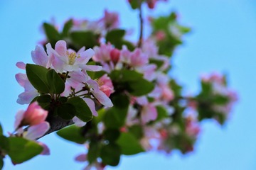 4515D40C-B6E6-4485-927A-60E5AD5ED63B/L0/001