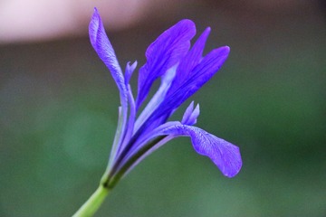 3A705B0F-9361-4FA6-A5E7-1091554BE690/L0/001