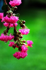944D0238-4030-4FFB-938A-D7B755D5BD98/L0/001