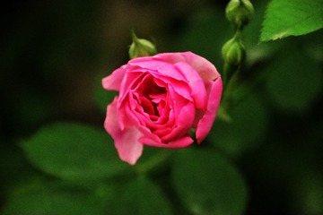 2ADBDA08-8A11-4DFB-B8A4-394E374FE26F/L0/001