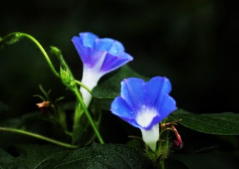 7F81A08B-0023-4988-88BC-76FDE7F895F3/L0/001