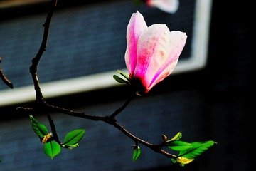 E685697A-4796-46DD-B534-83D3E70C281D/L0/001