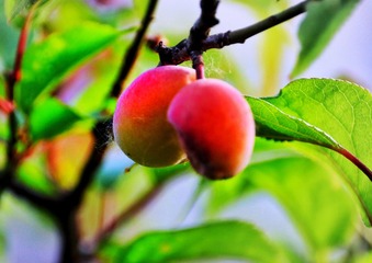 A960B027-000A-416A-A9CA-7709FD81E51F/L0/001