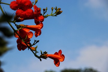 D709D6CB-2772-4E27-82A5-E589890FB8FB/L0/001