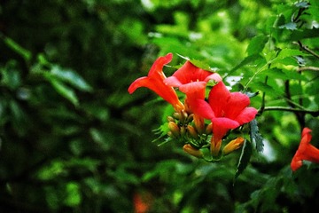 EC2106CE-4CA9-41AC-B51B-3F74C757C708/L0/001