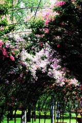 9F2FC1B6-A67D-4A20-B912-B55258959D08/L0/001