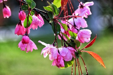 FF04B2A9-A83F-497E-8D8C-A59E363AF50C/L0/001