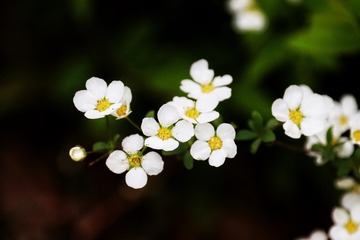 8B714534-C42C-4F96-B6A5-4F2AE4458D8C/L0/001