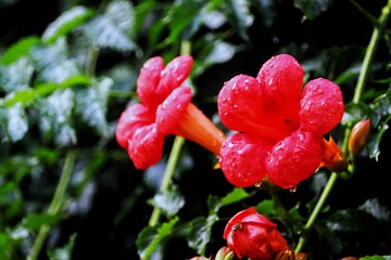 7E3BEE61-71ED-4B28-89C3-16C13DE2CE80/L0/001