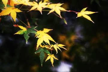 B01F7B4B-41CF-4F8F-8CAD-FB523852EA9A/L0/001