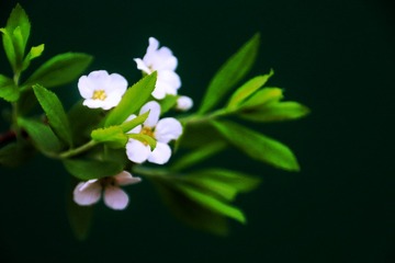 3CA05E0E-EEB4-4CE3-B097-D960853BBB8F/L0/001