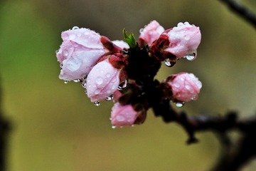 9A4ED80C-6863-4D80-B62E-92B0793F4167/L0/001
