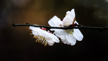 D7AADD21-2B9A-4196-A508-DED549666375/L0/001