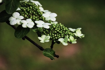 1D9B390D-8DFB-4415-9F2F-231CC24283B2/L0/001