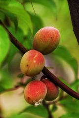 F6013989-194F-443C-8B07-2B38C88C6EC9/L0/001