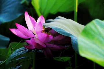 D0F1E793-E7FA-4C20-B80A-2EA691668868/L0/001