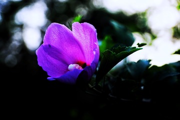 3BC7C47F-AD85-4B10-B0B4-233B869AC86A/L0/001