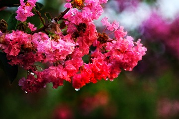 06D3D9A8-FFCD-4B93-A974-C77CCEE07D9F/L0/001