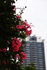 7152CD3F-5C93-43BF-BB30-E93A9B3DC380/L0/001