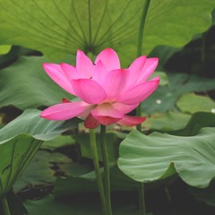 71CF3851-B9A6-4E65-8DFA-3C317D6B3127/L0/001