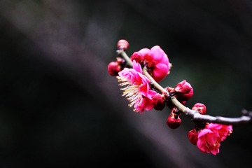 C2BBD467-5031-4DFC-81A0-1DDC4B493B33/L0/001