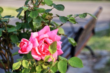 383D3E89-9986-4004-8643-3D1F1B37D2FE/L0/001