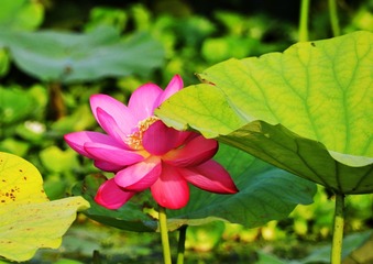 98EF2233-DDD9-4F60-B793-0C3E67EBA0CD/L0/001