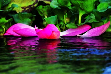 4A42DAA1-F4EC-4E56-90FA-FF89A70E8031/L0/001