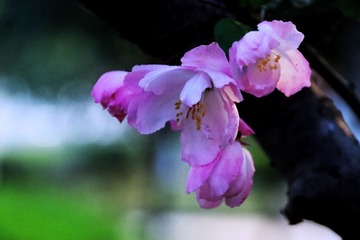 05A828E5-6D88-4798-BB09-DA122100DB1D/L0/001