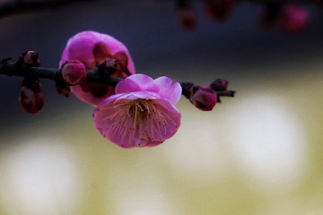 E5563B7F-F820-4552-A04F-00826D9218F4/L0/001