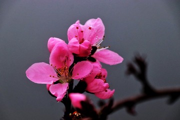 E27AC3A7-ABE6-44C0-B6D4-95B266C7F06C/L0/001