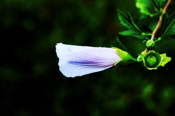 28B99872-FED3-433A-86F6-6F190EC29FA7/L0/001
