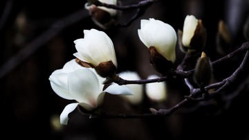 402C55E5-3335-4EE1-8ADD-7D1F6F52768C/L0/001