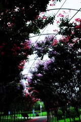 46613EEE-7A59-44B7-AFF1-565DF64E4671/L0/001