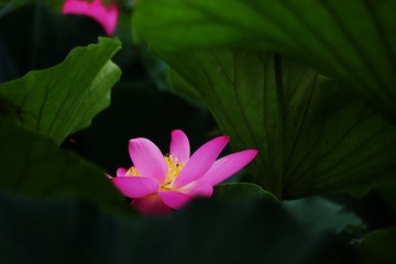 C095AE3D-99D9-472D-AC75-D5EE40B34804/L0/001