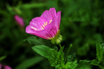 D7D7DB59-F735-45F5-921D-B98B9C187F6C/L0/001