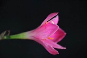 B89270F5-F669-49AC-90AB-E52BF5D348DD/L0/001