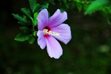CC46A94B-5F19-4C9A-9916-AF9DD2F58EF0/L0/001