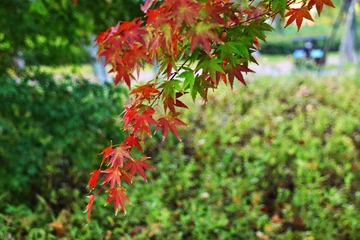 FE38ED75-160F-4EB4-9B65-B534C4B184D9/L0/001