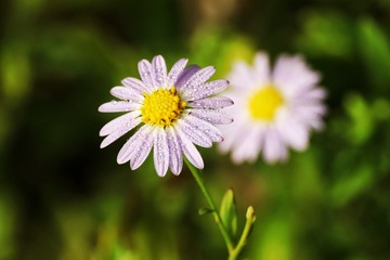 B145E3AD-9D5C-4709-8954-C937FCC97944/L0/001