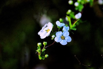 96DDA3AE-5456-497F-90DA-79F06C5F3CB3/L0/001