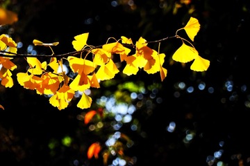 D0173380-9621-4049-AD61-0E5B4F36BF9D/L0/001