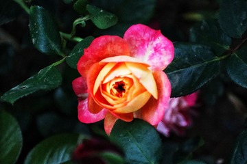 9605A11B-98FC-458F-B16C-7CE2ED9F5918/L0/001