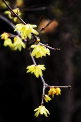 D0857564-A904-4FA9-B40D-BFE8E5827207/L0/001