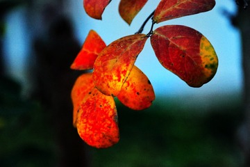 7D3F12CD-1F0D-436B-BD7B-F7CD3700B976/L0/001