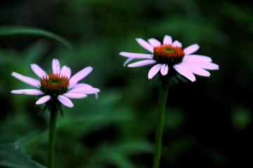 3975B540-7E6A-44ED-BD9E-EACCF7375358/L0/001