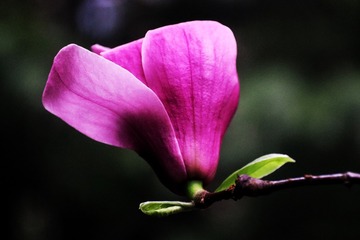 F556CF01-810F-48A5-AB07-FD00935A6D66/L0/001