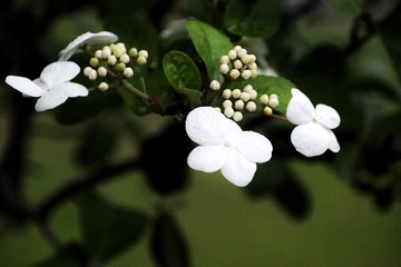 D7C5B0EF-6228-4CC0-B85B-9A420B54908D/L0/001