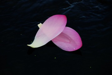 33C13F99-E279-4B10-B8E4-823E1B8C1D39/L0/001