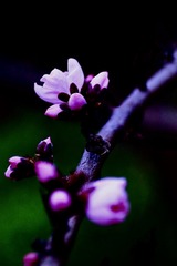 65BF9C7C-740A-4E45-880E-618940EA1923/L0/001